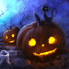 908c7f6eae13ba0184a6c86e00eea622.gif