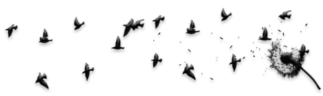 0_137ba0_d018bc0c_orig