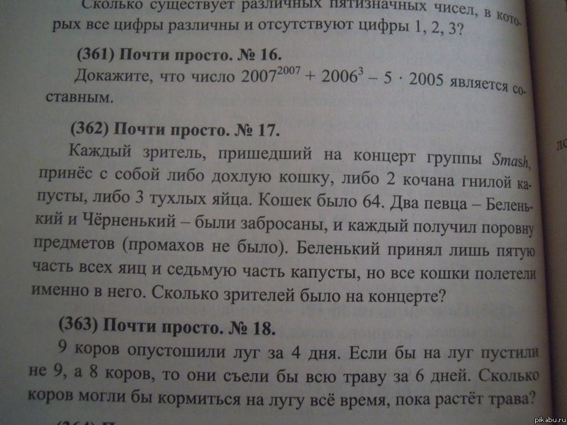 n98AvCEbkVE.jpg