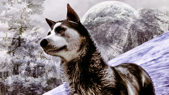 0_bfafe_363c004c_orig