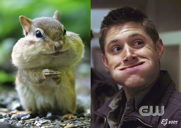 50785481_1257430976_dean.jpg