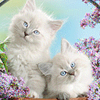 0_fecb5_44bba45b_orig.gif