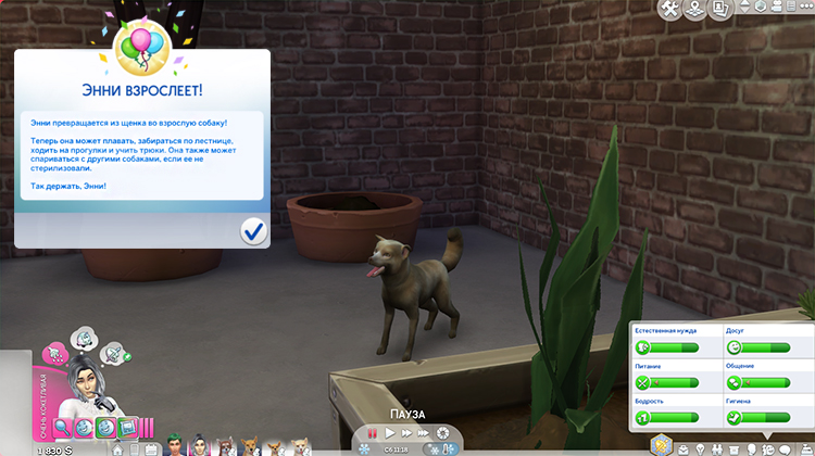 TS4-x64-2020-02-16-19-08-21-13.jpg
