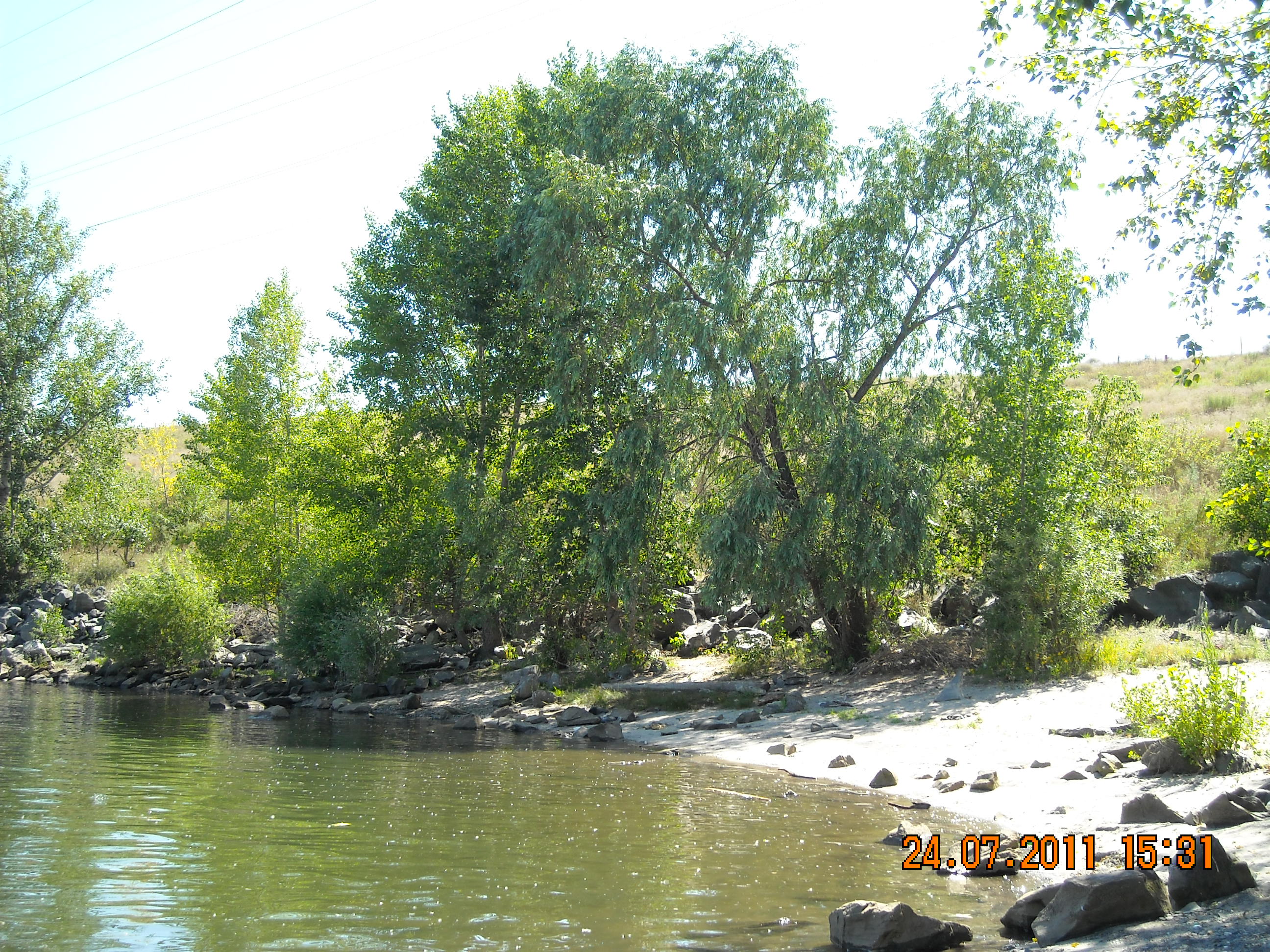 d8d1bf9453d0295b90e47a4a697f39b0.jpg