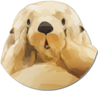n3q4r5q.png