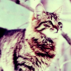 e9d5b7ed92f4ad75089ff6a31acff816.jpg