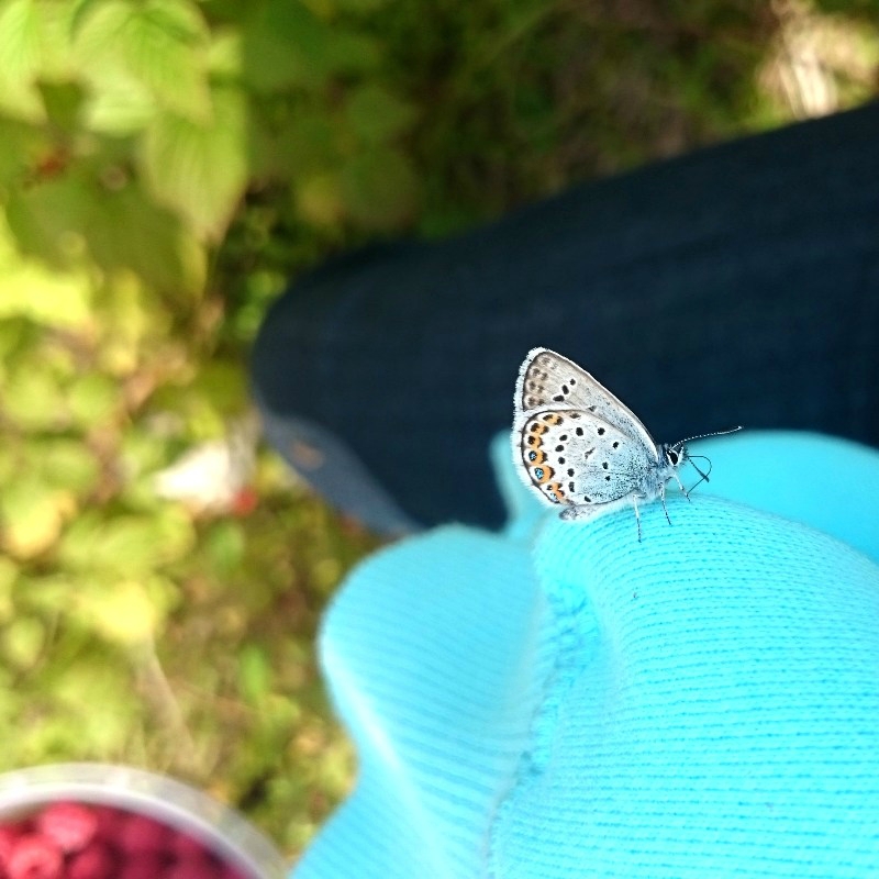 0_1747e5_1d2622a_orig