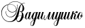 RvadimuSko.png
