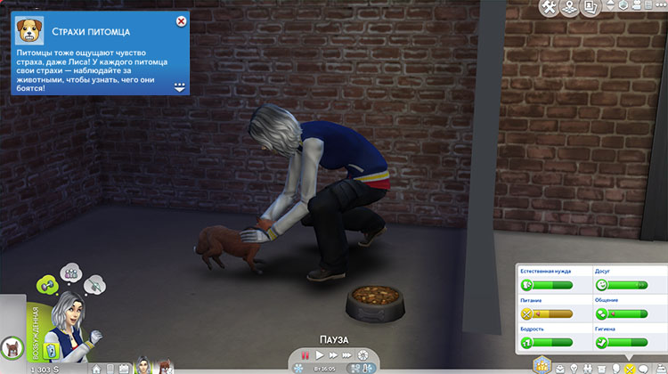 TS4-x64-2020-02-16-08-57-35-02.jpg