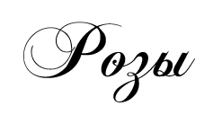 c583d1e7c3c81445346af71d210a87ed.png