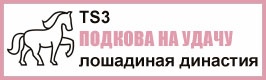 aABd9pdDInM.jpg