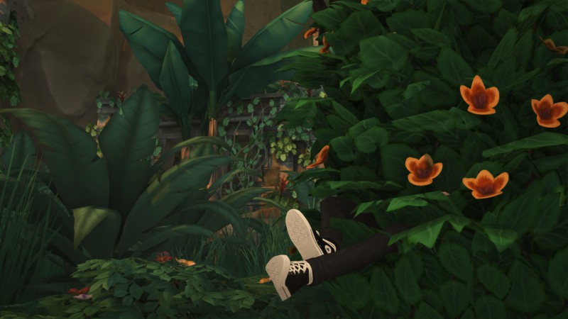 5d5f2712e73ec19662da5bf588ed8ff3.png
