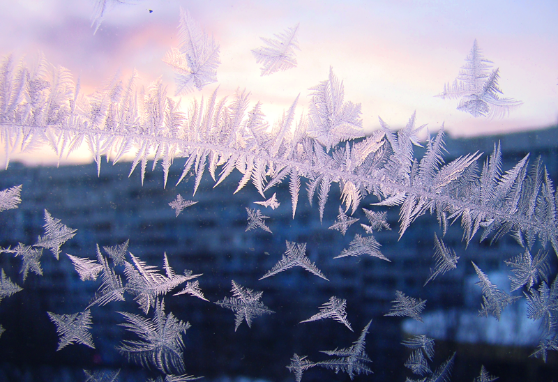 0_1c4ddb_207b49f2_orig.png