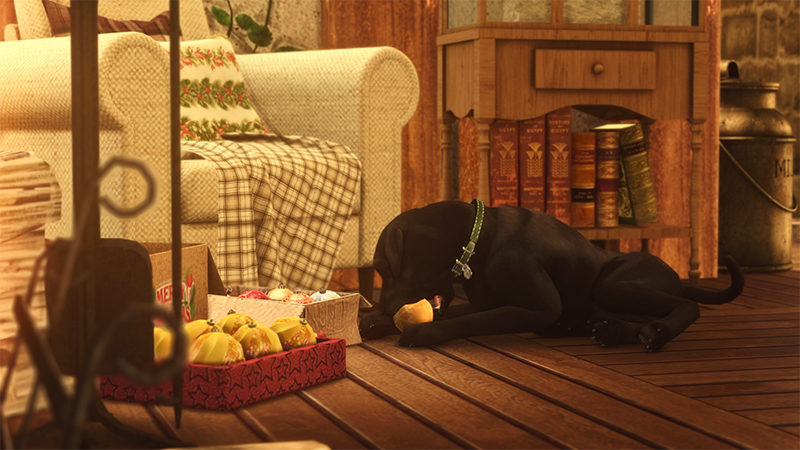 2bed7e5bb628200f326bc103d8245f23.png