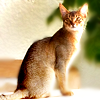 389b56622f0f23f970078bdaf509c4cb.png