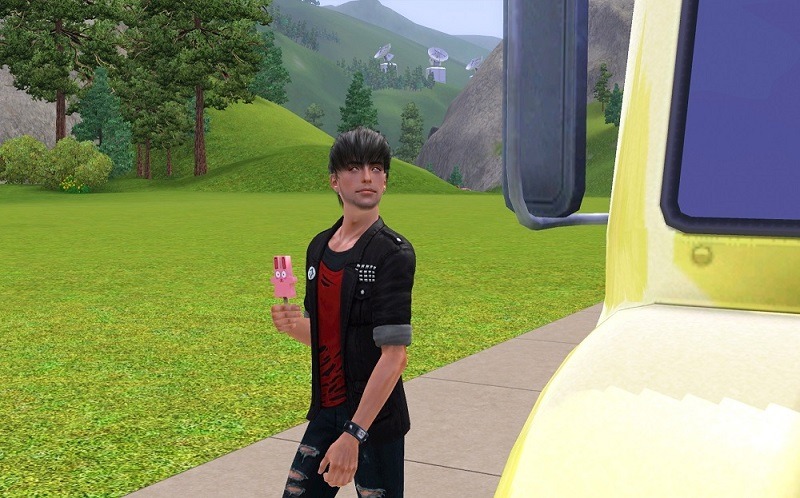 3266207.jpg