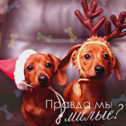 39b2864c1231ec65af6cb5be847f00bf.png