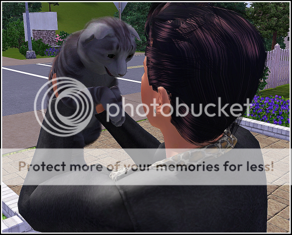Screenshot-149.png