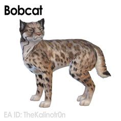 9d87f0ca33aa70bfb4a9793a6e642a05.jpg
