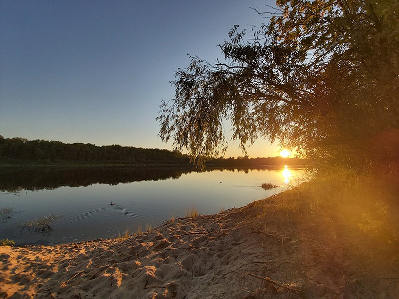 20190819-1945432.jpg