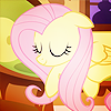 a42aa6ed70a27e0dff04e318796c3816.png