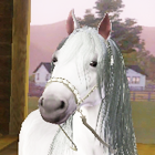 98c0ecf936f6ce755d59ead21f9ba64d.png