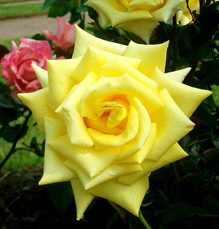 0_d8c79_a2910419_XL.jpg