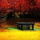 1846095e187b2788bc234f27a1ff67f1.png