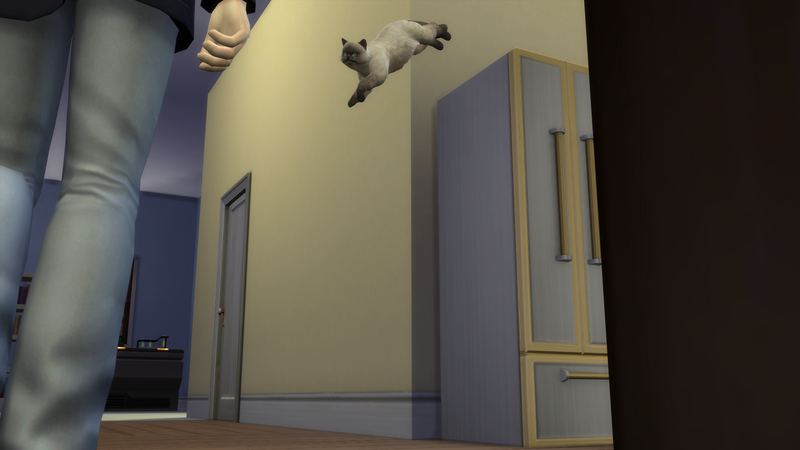 vRBDnzf.png