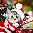 788a869366efb1c0c1aeeb62b30dffad.png