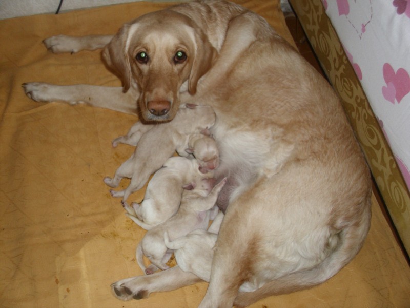 49bd35fa6dedb9ef4d1d3375f896ecbe.jpg
