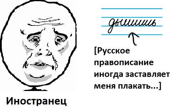 oH6afRKWNLc.jpg
