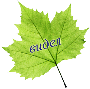 0_153c1a_13df3810_orig.png