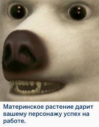 7uQCUJK.png