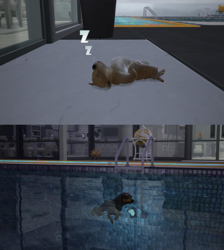 HPrSS01.jpg
