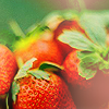 236c8f81ddd95a78d7faa3097e603e23.png