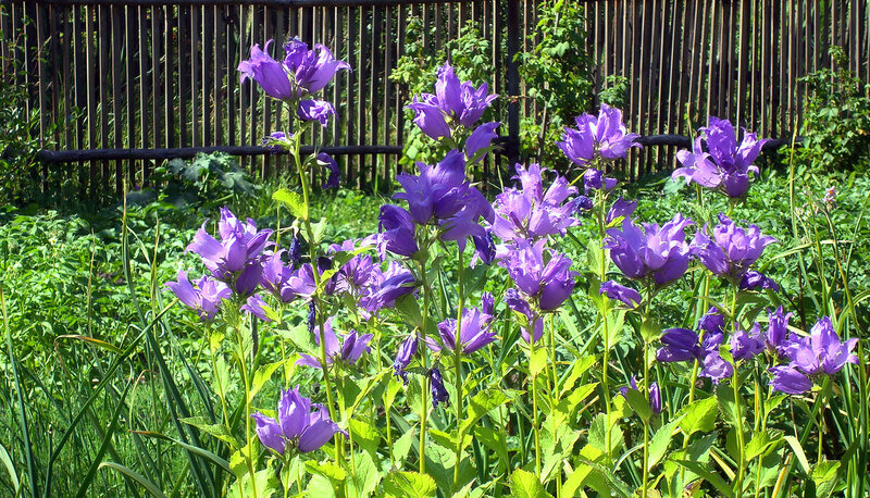 0_ff289_5a095ecd_XL.jpg