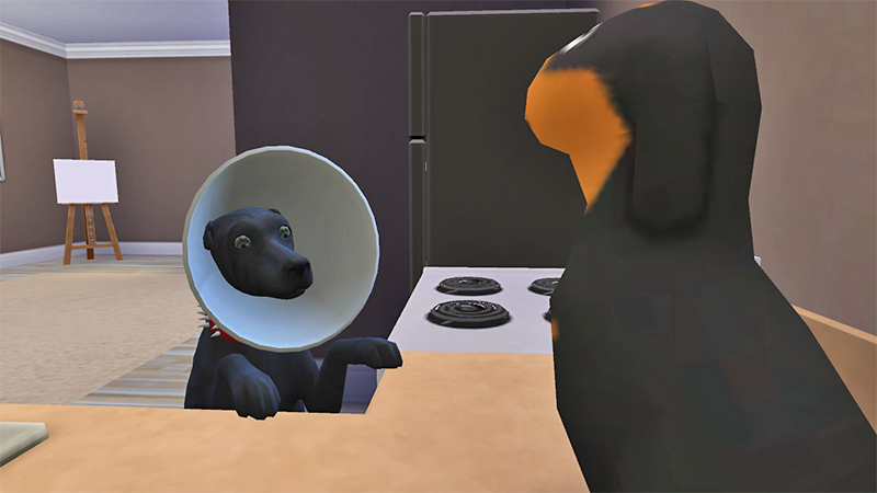 8.png