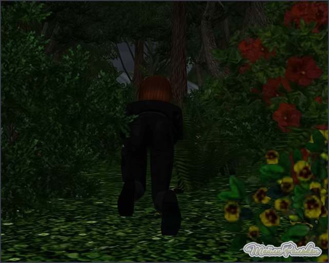 0_adb4f_b09b14d8_orig