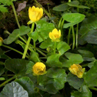 a6b96671cae41845cc8e56afaa5d5bf5.gif