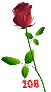 0_fb3d7_159ec334_M.png