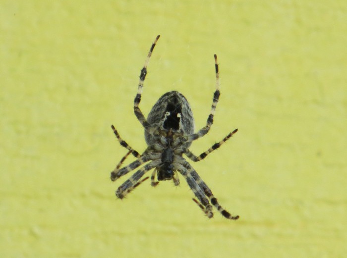 a2c66335cab1124af83a106e23f4c7fa.jpg