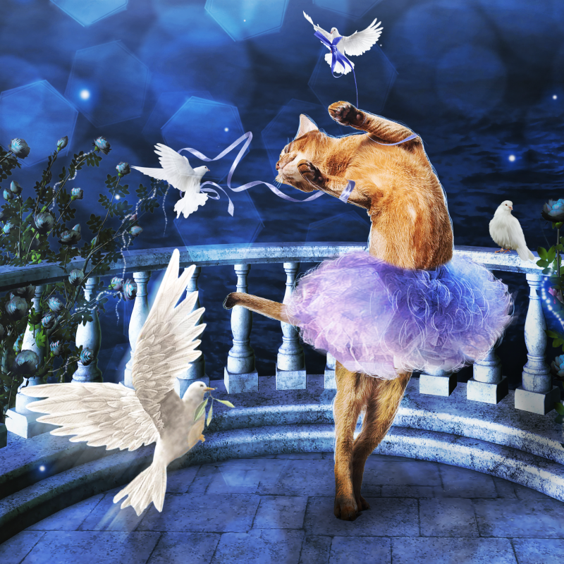 c76e829c8d743708b32fb0c266add019.png