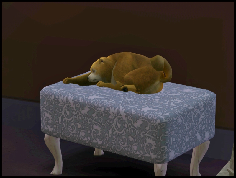 0_10c40d_12ad8d71_orig.jpg