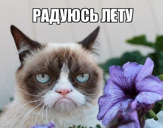 ZYEdaVTUj5E.jpg