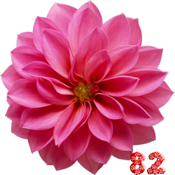 0_fb3c0_50a0670d_M.png