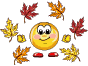 lloVM.gif