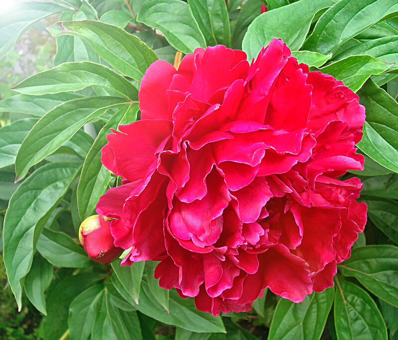 0_d6252_dc95a488_XL.jpg
