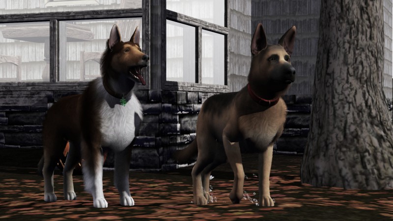 10a610a40daaead764a1d2f6f0d3892d.png