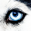 784ff7b858e91f84884c8f7d2e67dc45.png